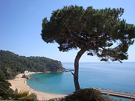 Maison en location pour 4-5 personnes près de la mer.(Cala Canyelles)