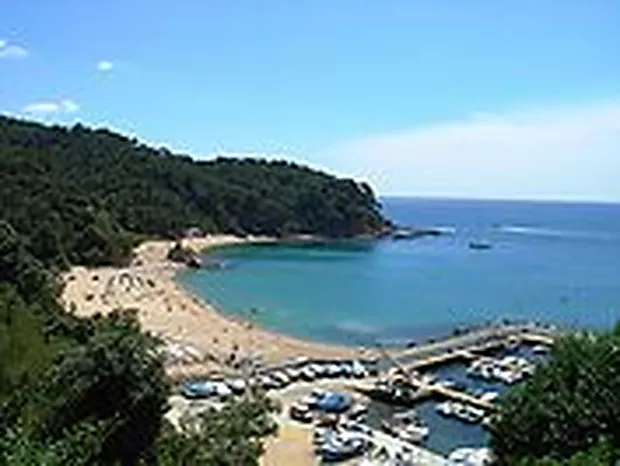 5-bedroom villa with pool, 900m from Cala Canyelles beach