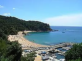 5-bedroom villa with pool, 900m from Cala Canyelles beach