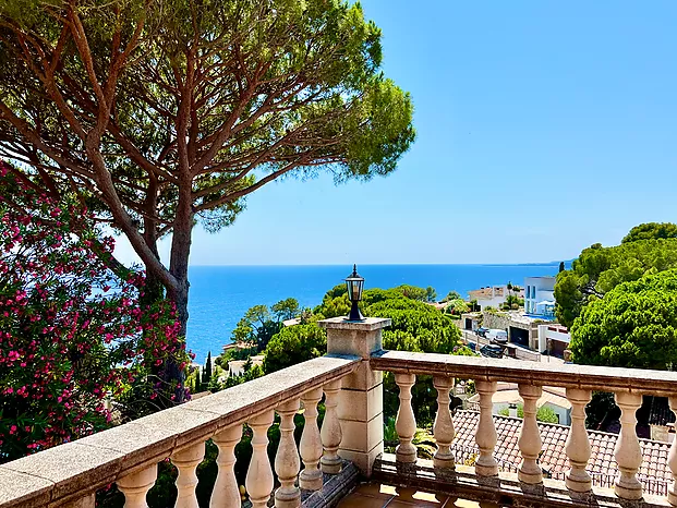 Haus in sehr gute Lage - Cala Canyelles