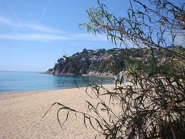 Jolie maison avec jardin fleuri en location á Cala Canyelles.