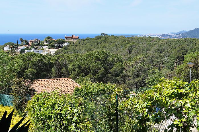 House with private pool for rent near the beach Cala Canyelles.