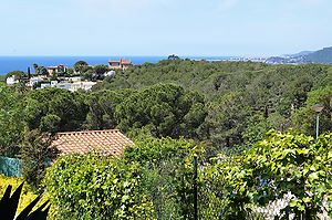 Casa en alquiler con piscina privada cerca de la playa de Cala Canyelles. 