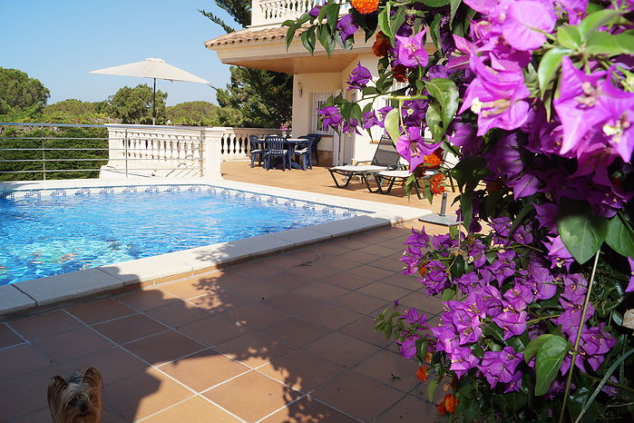 Lovely house with 2 bedrooms and private pool for rent in Canyelles-Lloret de Mar