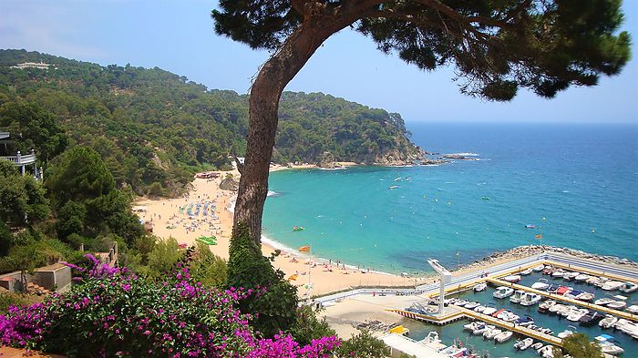 Charmantes Loft mit atemberaubendem Meerblick in Cala Canyelles zu vermieten.