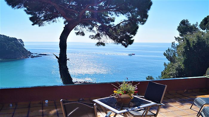 Lovely loft with breathtaking sea views for rent in Cala Canyelles.