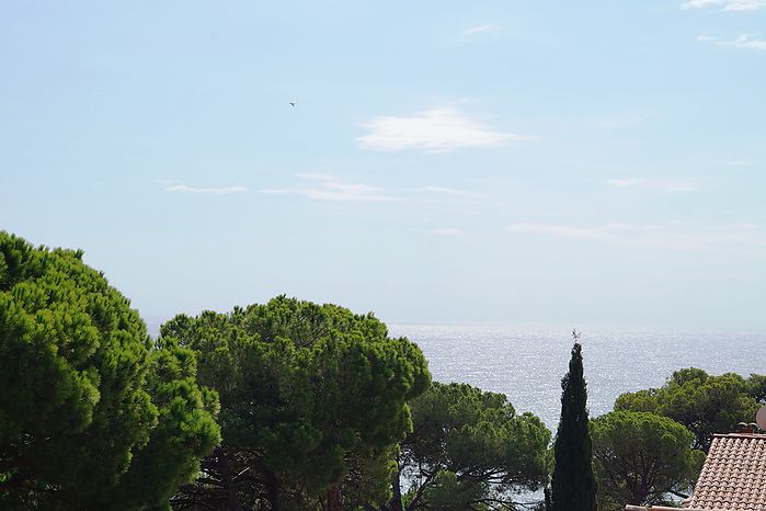 Maison avec piscine et vue sur la mer, quartier résidentiel anyelles. Cala Canyelles