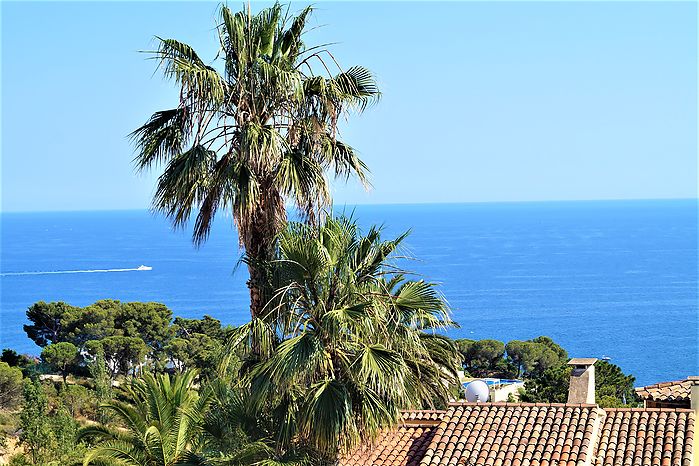 House for rent with swimmingpool in Cala Canyelles (Lloret de Mar)