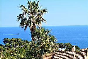 House for rent with swimmingpool in Cala Canyelles (Lloret de Mar)