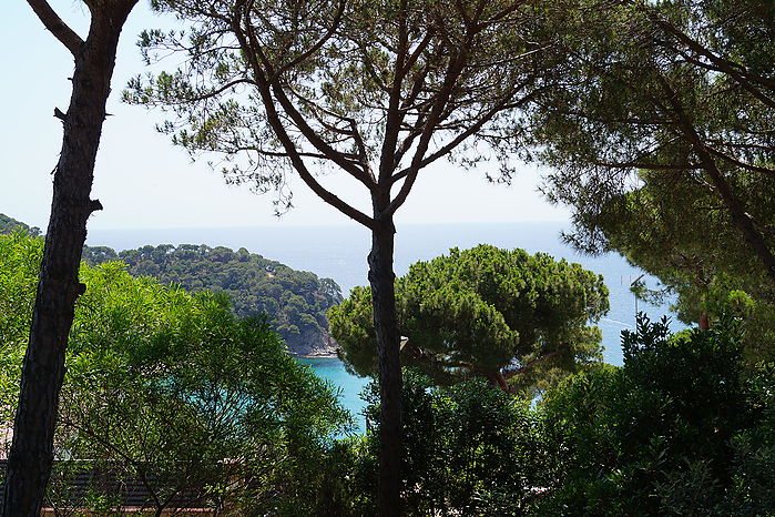 Casa de verano estilo ibicenco en alquiler (Cala Canyelles- Lloret de Mar)