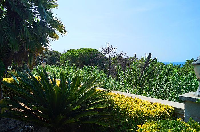 Villa Tres Palmeras