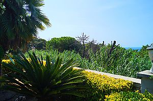 Villa Tres Palmeras