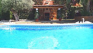 Villa Tres Palmeras