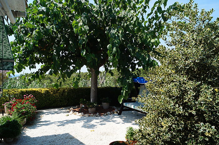 Villa Tres Palmeras