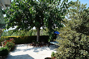 Villa Tres Palmeras