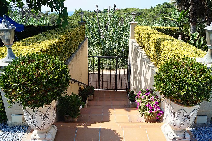 Villa Tres Palmeras