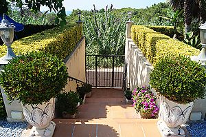 Villa Tres Palmeras