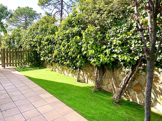 Magnífica villa en alquiler con piscina en Cala Canyelles. (Lloret de mar)