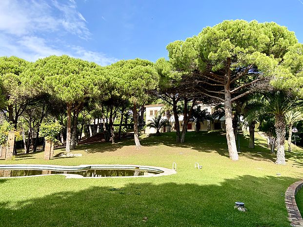 Villa zum Verkauf mit spektakulärem mediterranen Kieferngrundstück