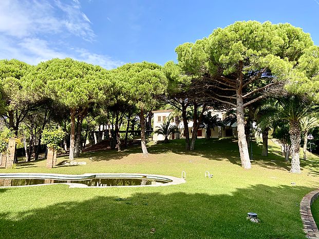 Villa à vendre avec spectaculaire parcelle de pin méditerranéen