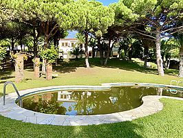 Villa à vendre avec spectaculaire parcelle de pin méditerranéen