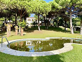 Villa en venta con espectacular parcela de pino mediterraneo