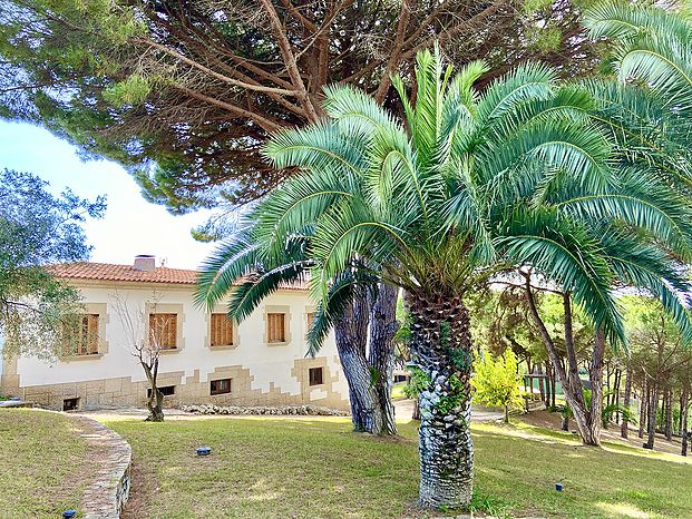 Villa en venta con espectacular parcela de pino mediterraneo