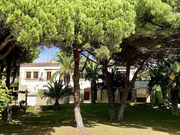 Villa en venta con espectacular parcela de pino mediterraneo