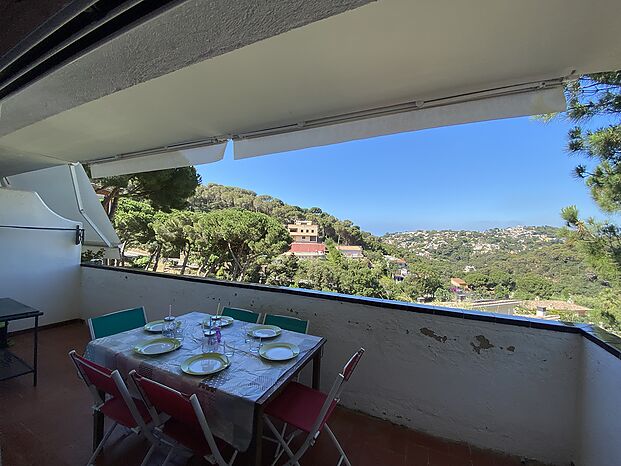 Beautiful apartment for rent in Cala Canyelles