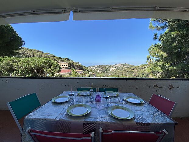 Beautiful apartment for rent in Cala Canyelles