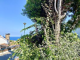 Preciosa casita en alquiler  en Cala Canyelles (Lloret de Mar)