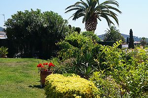 Casa con jardin y vistas al mar en alquiler en Cala Canyelles.