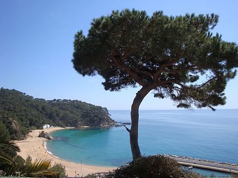 Cala Canyelles